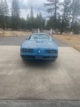 79 Pontiac Trans Am for sale in Greenview, CA – photo 2