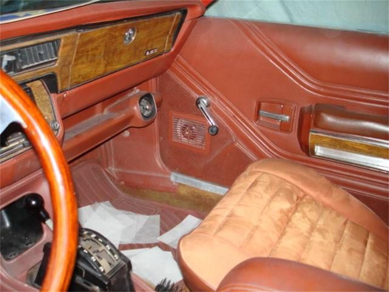 1979 AMC AMX for sale in Cadillac, MI – photo 5