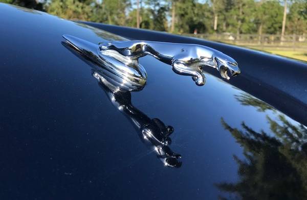 Jaguar XJS 40 2+2 Convertible for sale in Glenwood, FL – photo 8
