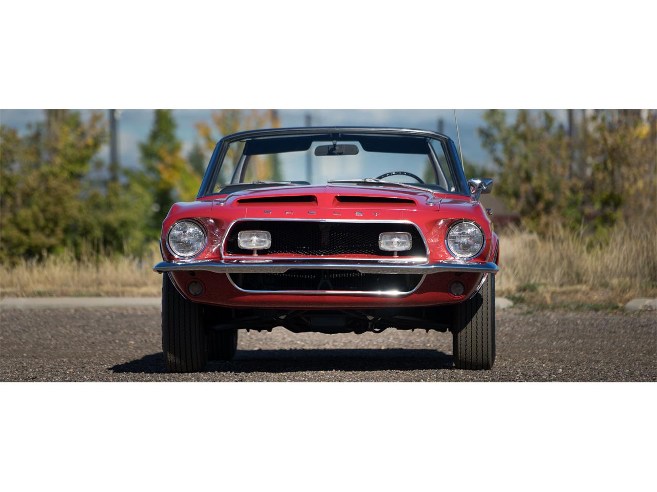 1968 Shelby GT500 for sale in Englewood, CO – photo 8