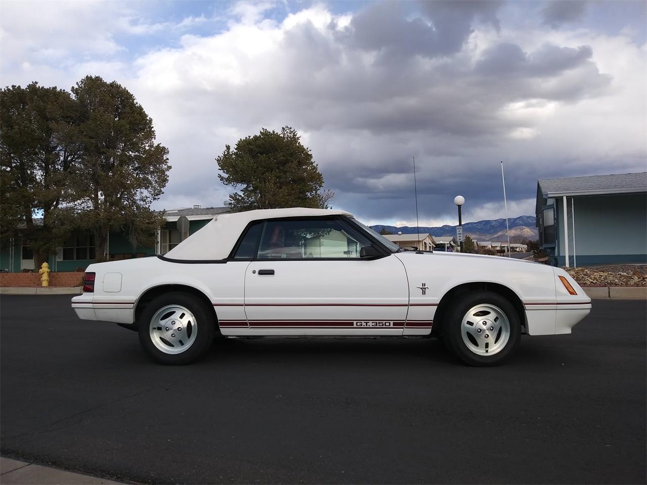 1984 Ford Mustang GT350 for sale in Albuquerque, NM – photo 16