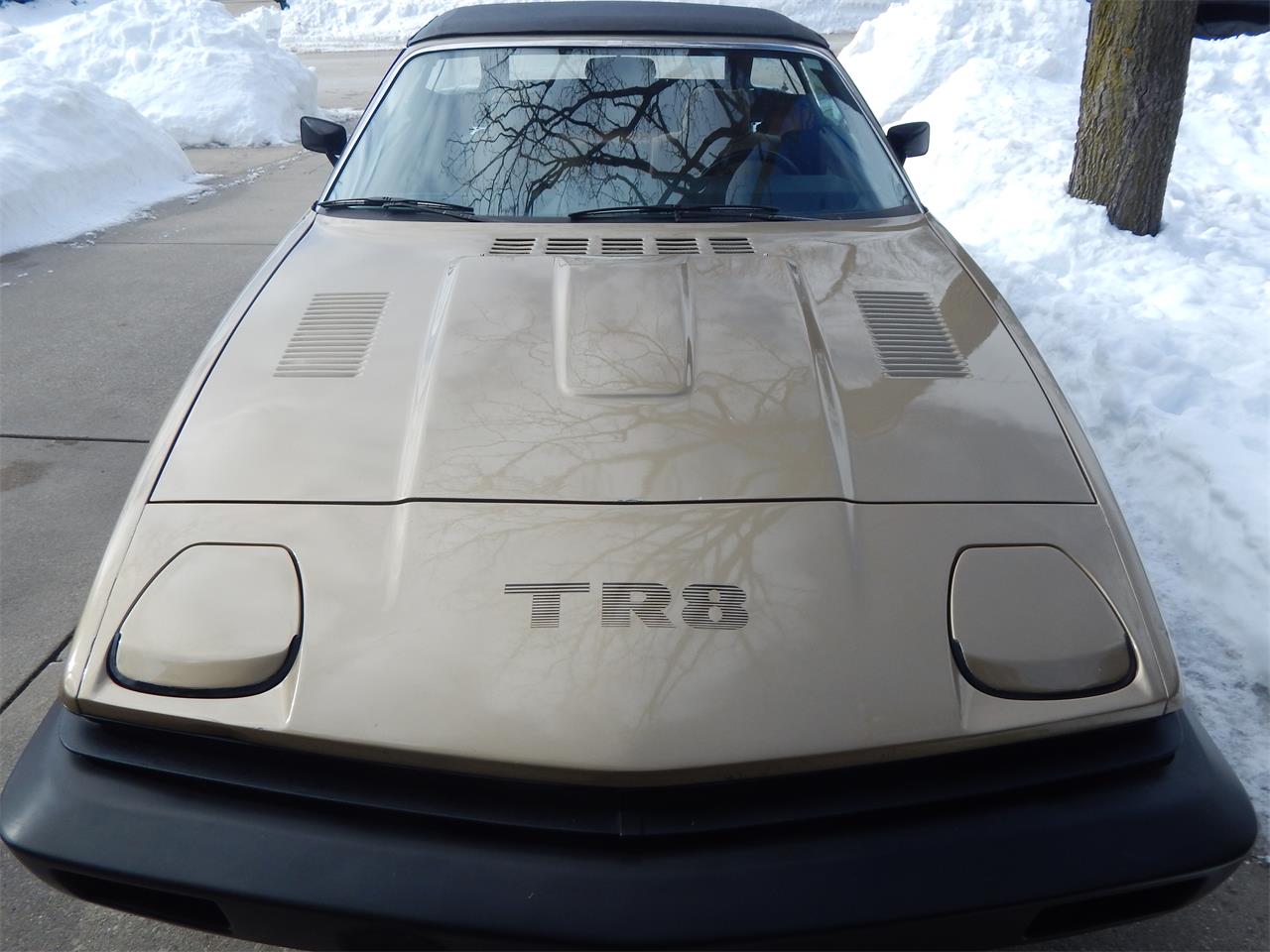 1980 Triumph TR8 for sale in West Bend, WI – photo 12