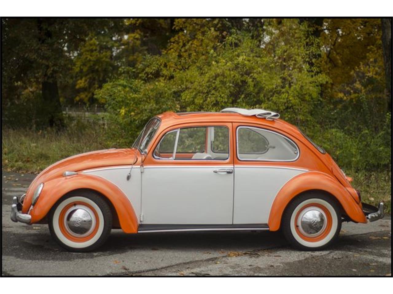 1965 Volkswagen Beetle for sale in Indianapolis, IN – photo 13