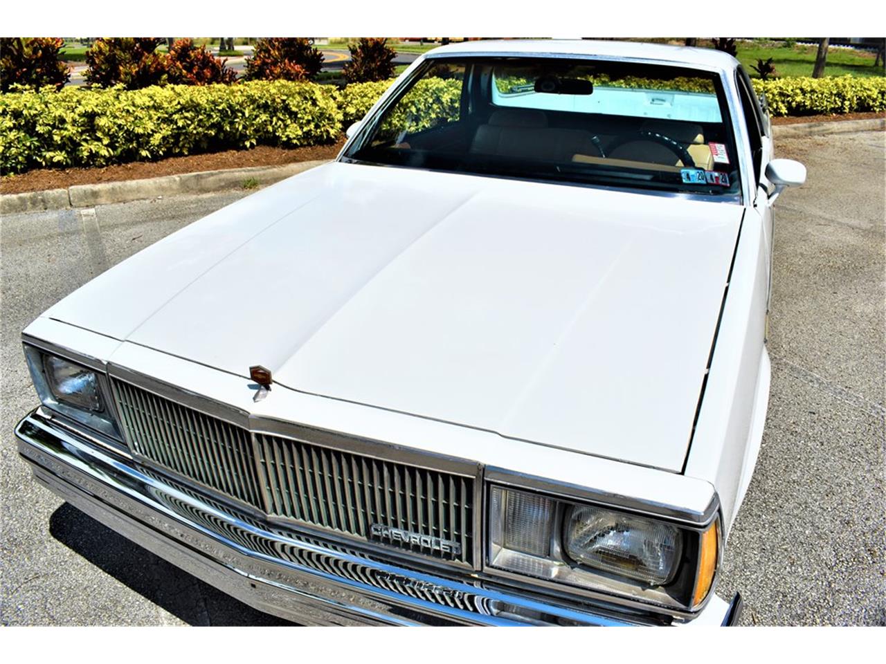 1980 Chevrolet El Camino for sale in Lakeland, FL – photo 4
