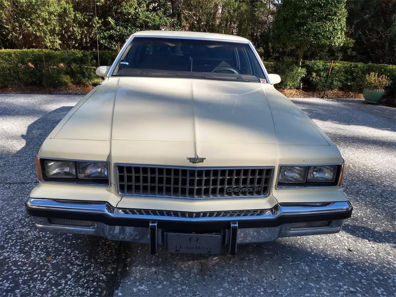 1986 Chevrolet Caprice for sale in Bluffton, SC – photo 2