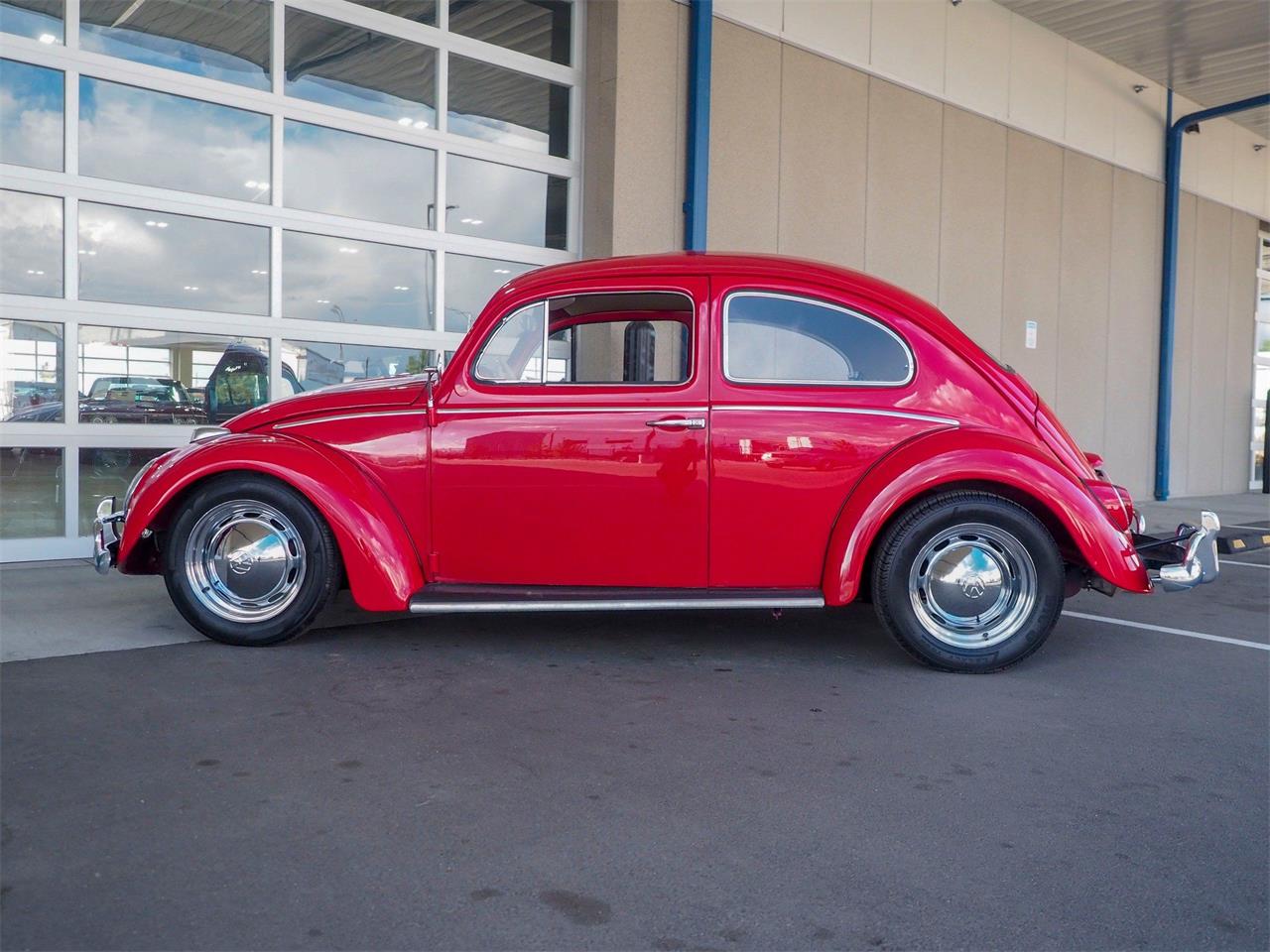 1964 Volkswagen Beetle for sale in Englewood, CO – photo 13