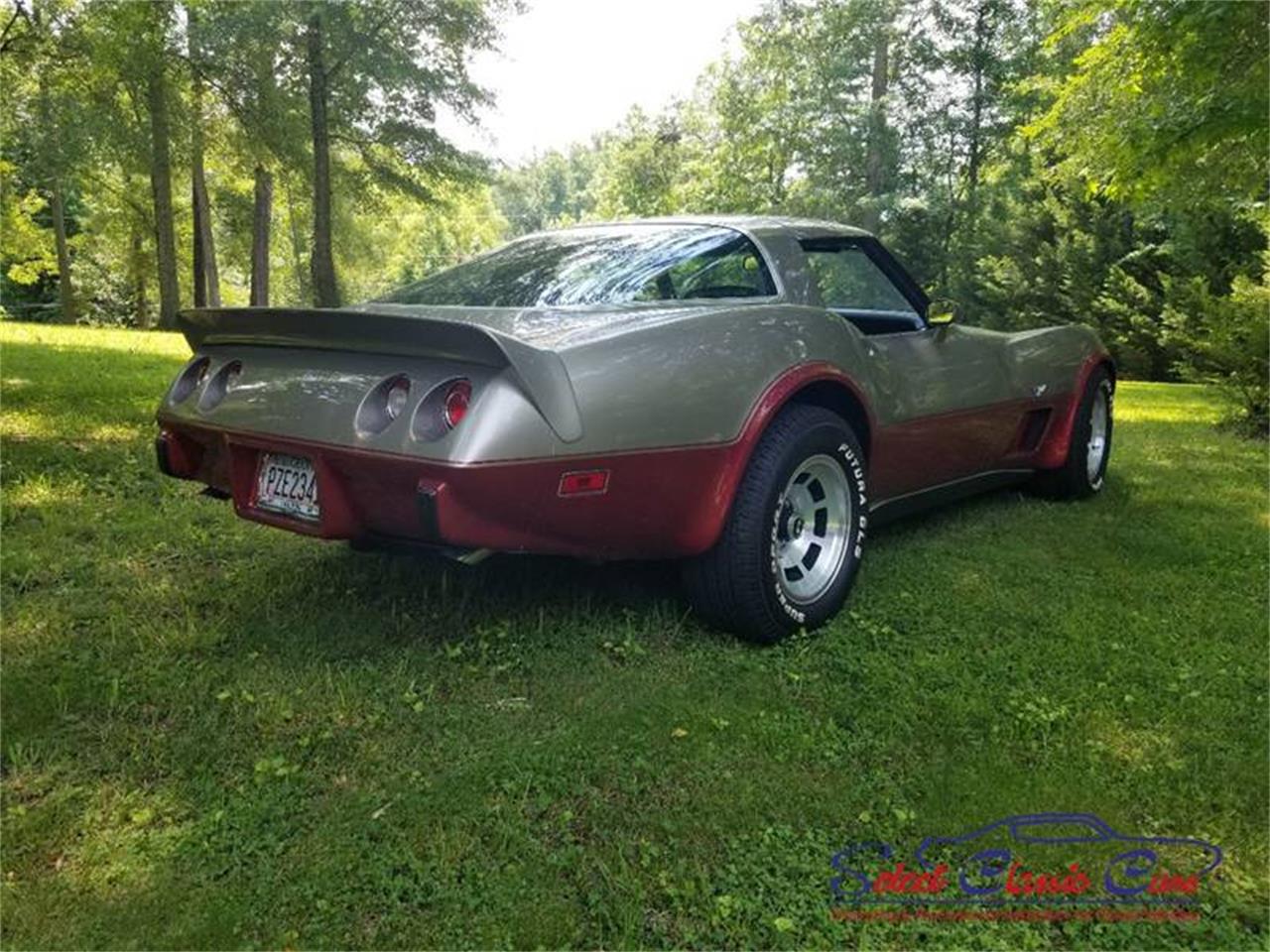 1978 Chevrolet Corvette for sale in Hiram, GA – photo 4