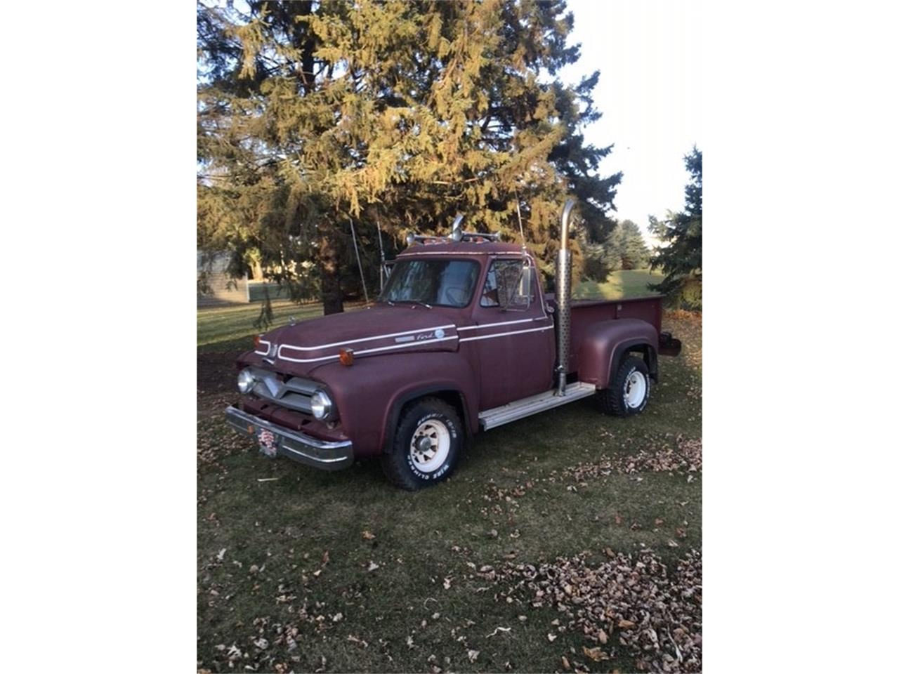 1955 Ford F100 for sale in Fulda, MN – photo 3