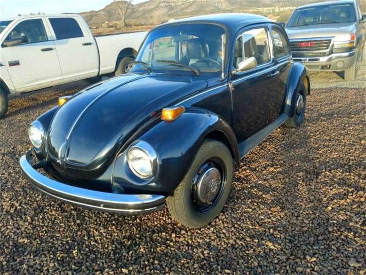 1974 Volkswagen Super Beetle for sale in Cadillac, MI – photo 2