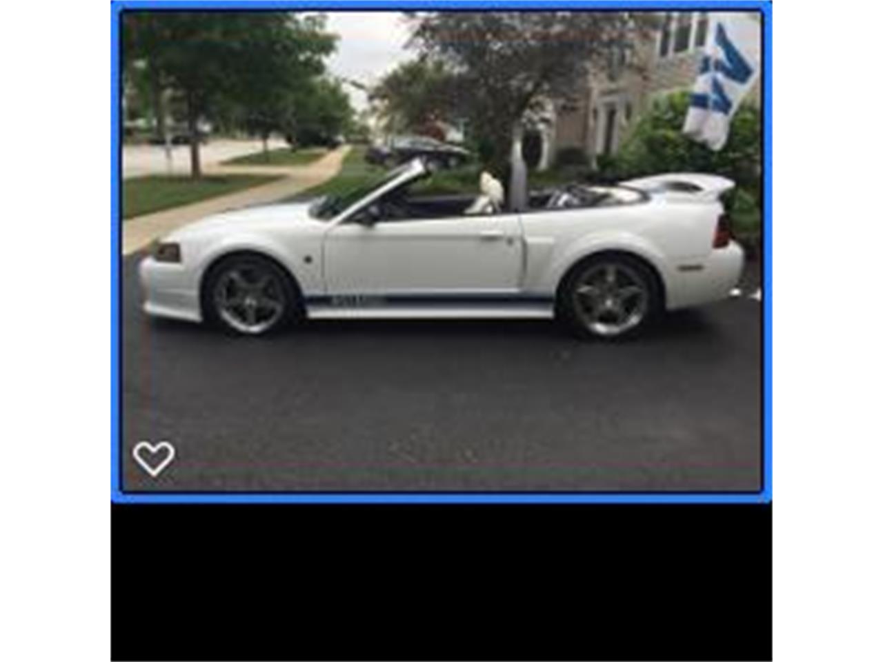 2003 Ford Mustang (Roush) for sale in Vernon Hills, IL – photo 6