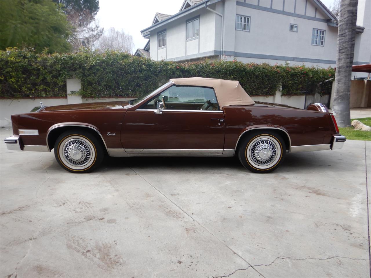 1979 Cadillac Eldorado for sale in Woodland Hills, CA – photo 3