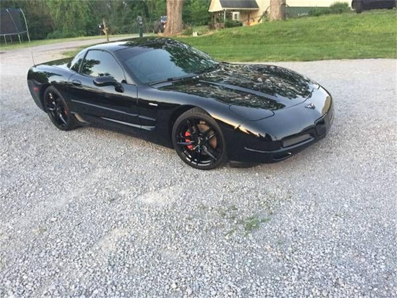 2001 Chevrolet Corvette for sale in Cadillac, MI – photo 2