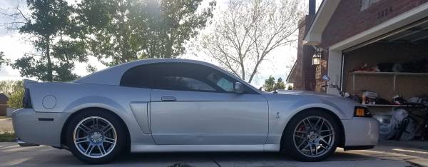 2003 10th Anniversary Mustang Cobra for sale in Clovis, NM