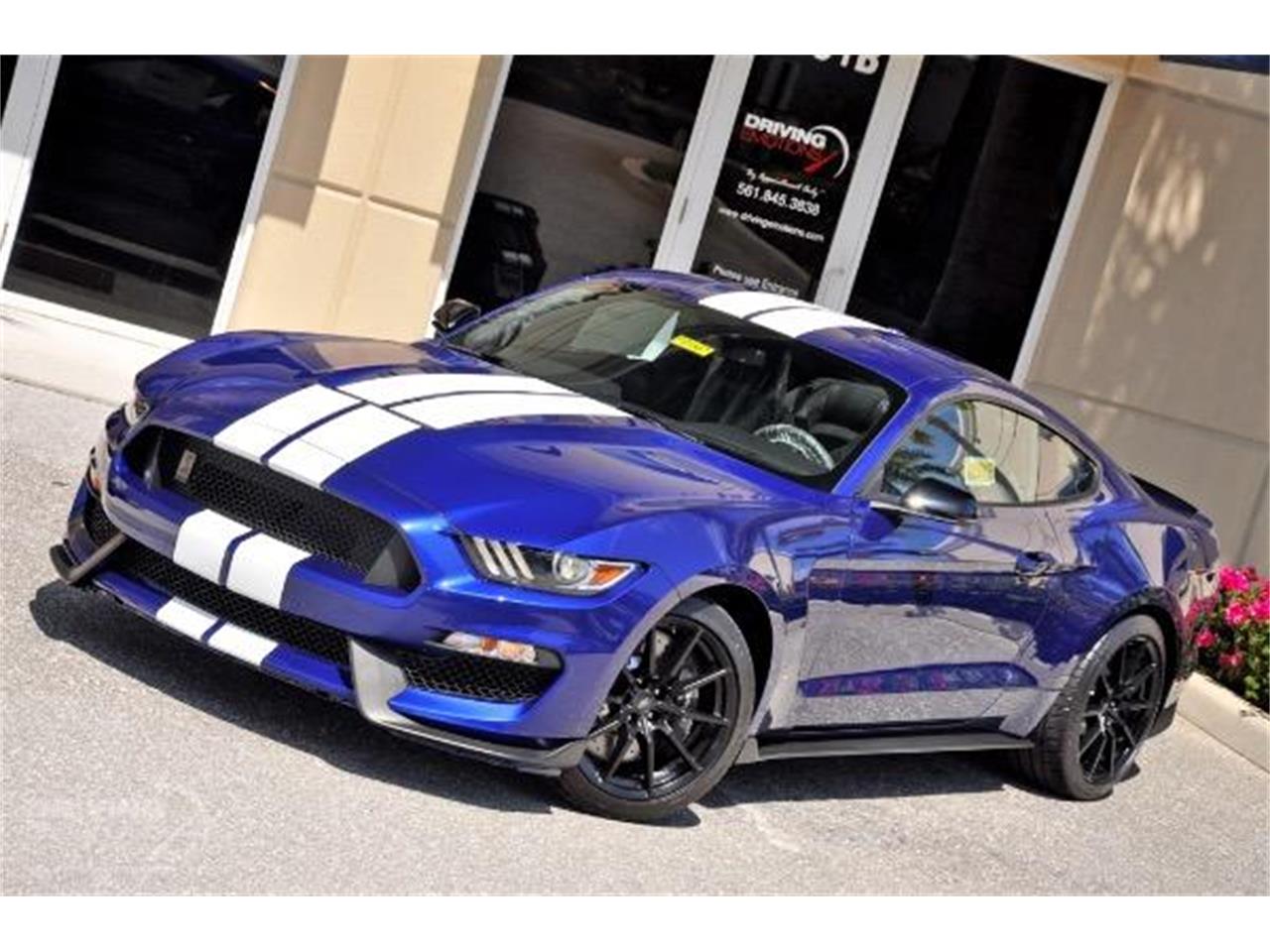 2015 Shelby GT350 for sale in West Palm Beach, FL – photo 42