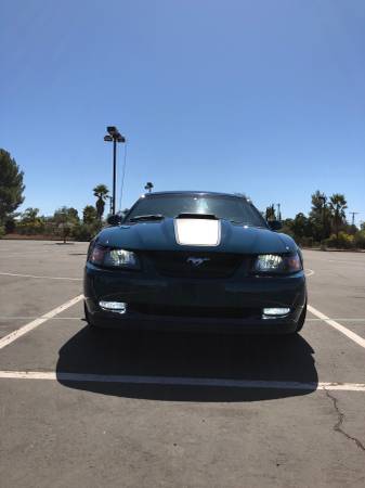 2003 Mustang Mach 1 6 Speed for sale in Ramona, CA – photo 5