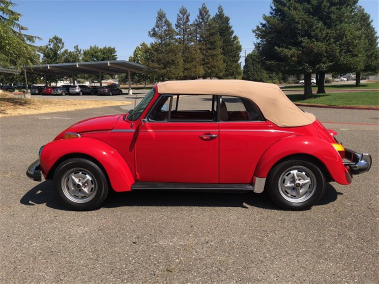 1979 Volkswagen Beetle for sale in Petaluma , CA – photo 11