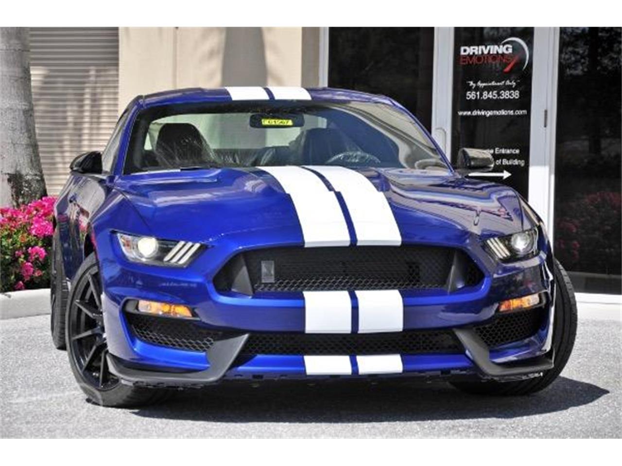 2015 Shelby GT350 for sale in West Palm Beach, FL – photo 4