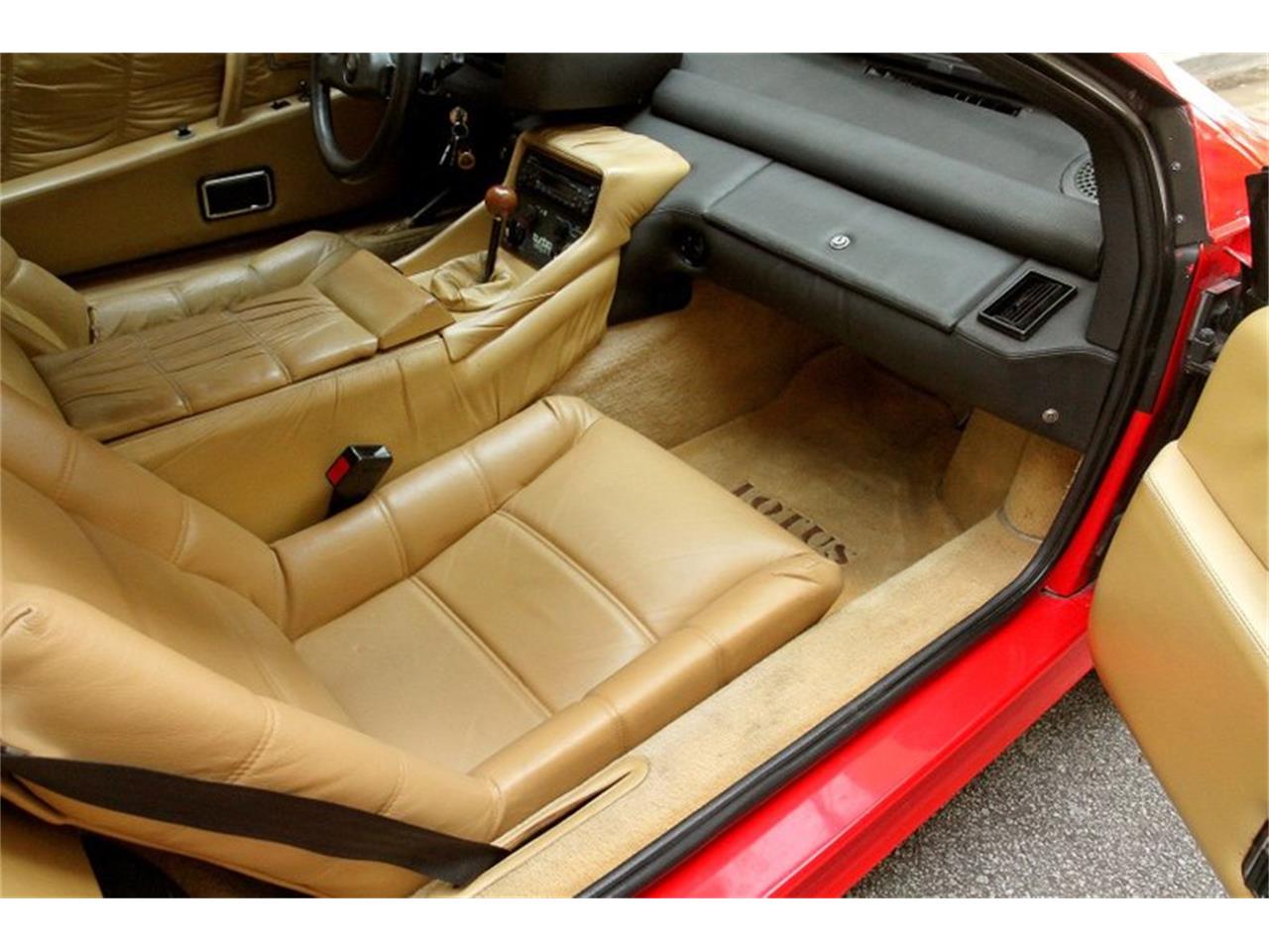 1983 Lotus Esprit for sale in Atlanta, GA – photo 35