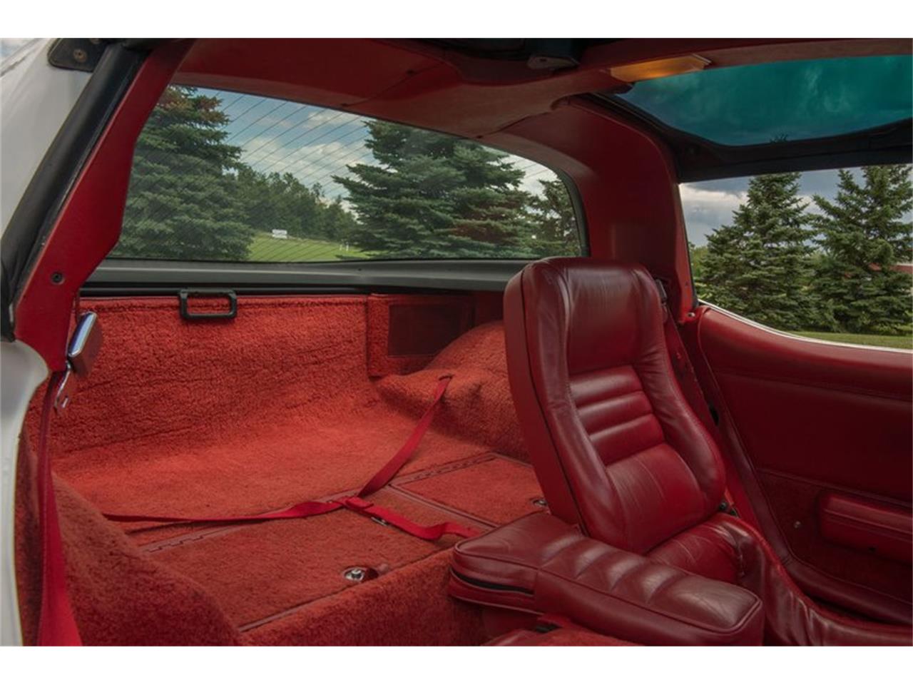 1981 Chevrolet Corvette for sale in Rogers, MN – photo 25