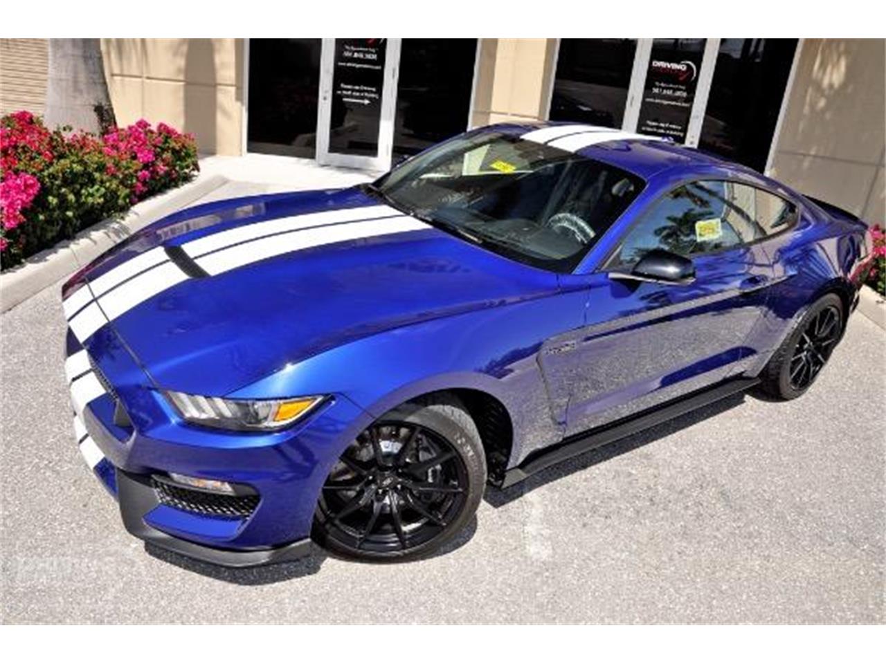 2015 Shelby GT350 for sale in West Palm Beach, FL – photo 41