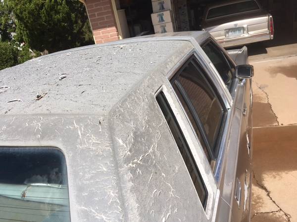 1989 Lincoln Town Car Price Reduced for sale in Sierra Vista, AZ – photo 2
