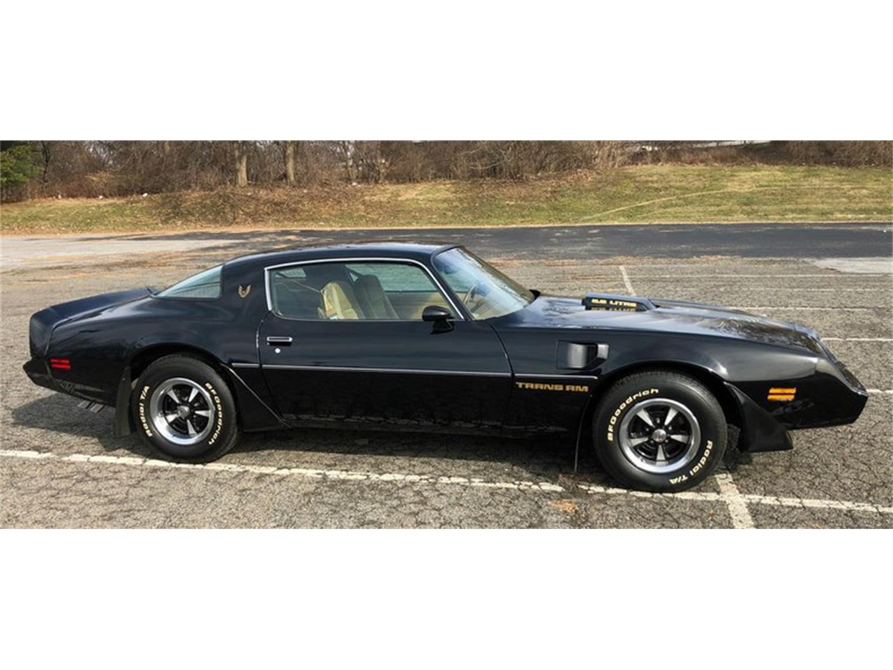 1979 Pontiac Firebird Trans Am for sale in West Chester, PA – photo 21