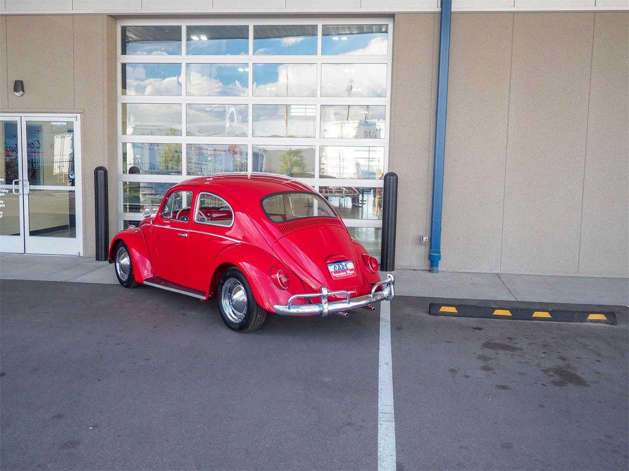 1964 Volkswagen Beetle for sale in Englewood, CO – photo 6