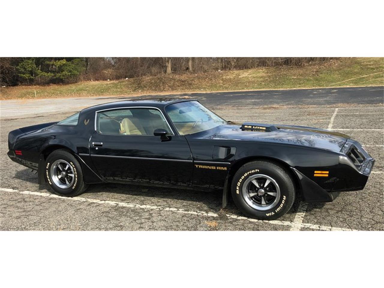 1979 Pontiac Firebird Trans Am for sale in West Chester, PA – photo 22