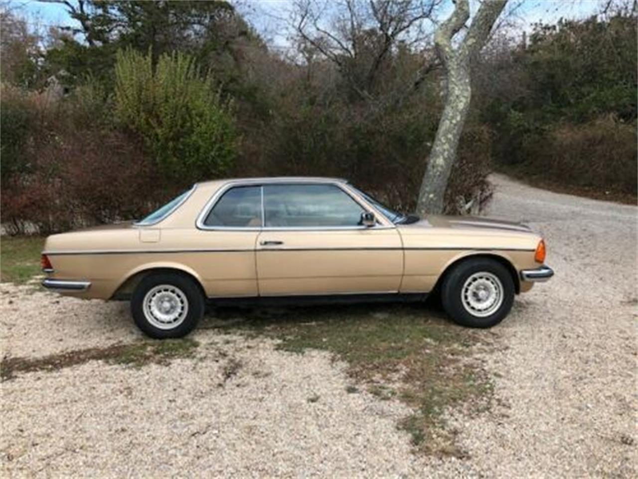 1980 Mercedes-Benz 280CE for sale in Cadillac, MI – photo 13