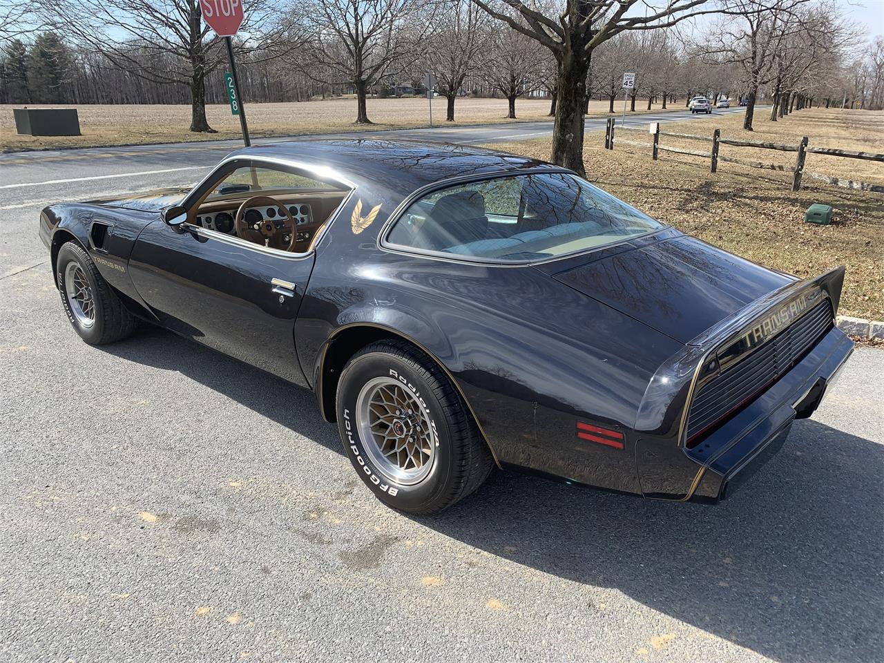 1980 Pontiac Firebird Trans Am for sale in Pen Argyl, PA – photo 4