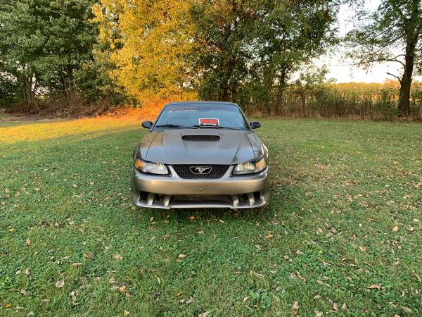 2001 Mustang GT Convertible for sale in Gaston, IN