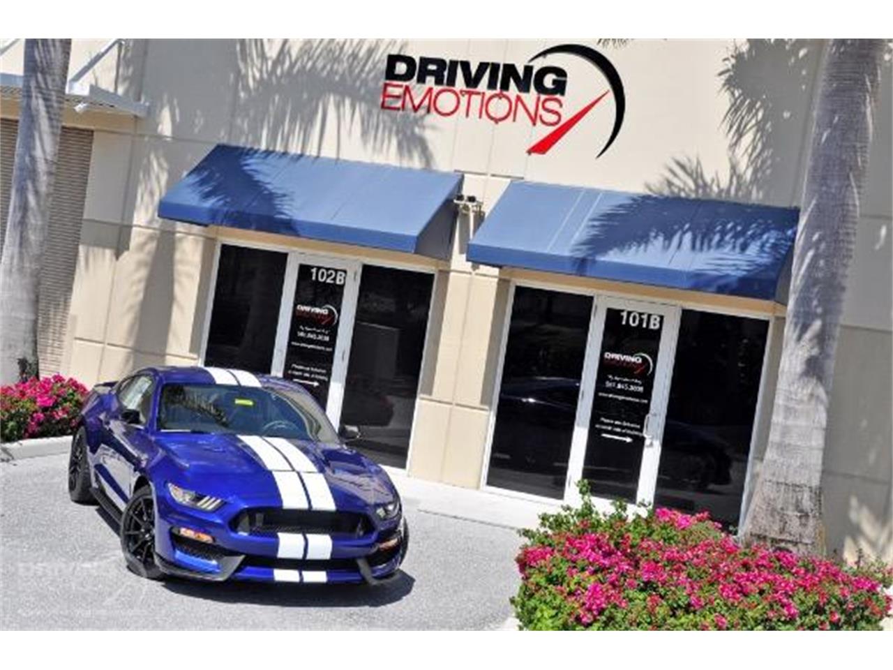 2015 Shelby GT350 for sale in West Palm Beach, FL – photo 3