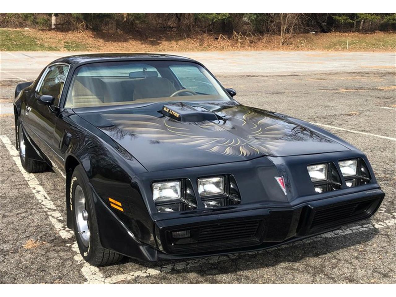 1979 Pontiac Firebird Trans Am for sale in West Chester, PA – photo 25