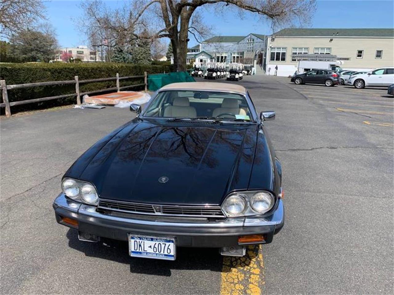 1987 Jaguar XJS for sale in Long Island, NY – photo 4