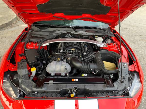2017 Ford Mustang Shelby GT350 Race Red Premium & Convenience 525HP for sale in Jacksonville, FL – photo 24