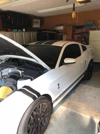 2014 Shelby GT 500 for sale in Ashland, WV – photo 3