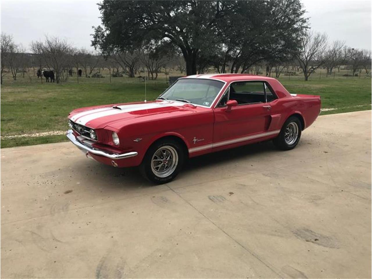 1966 Ford Mustang for sale in Fredericksburg, TX – photo 14