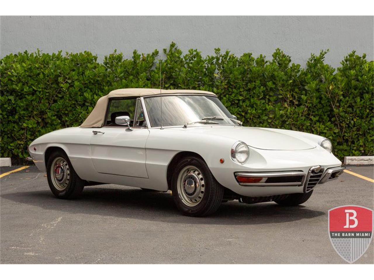 1969 Alfa Romeo Duetto for sale in Miami, FL – photo 2