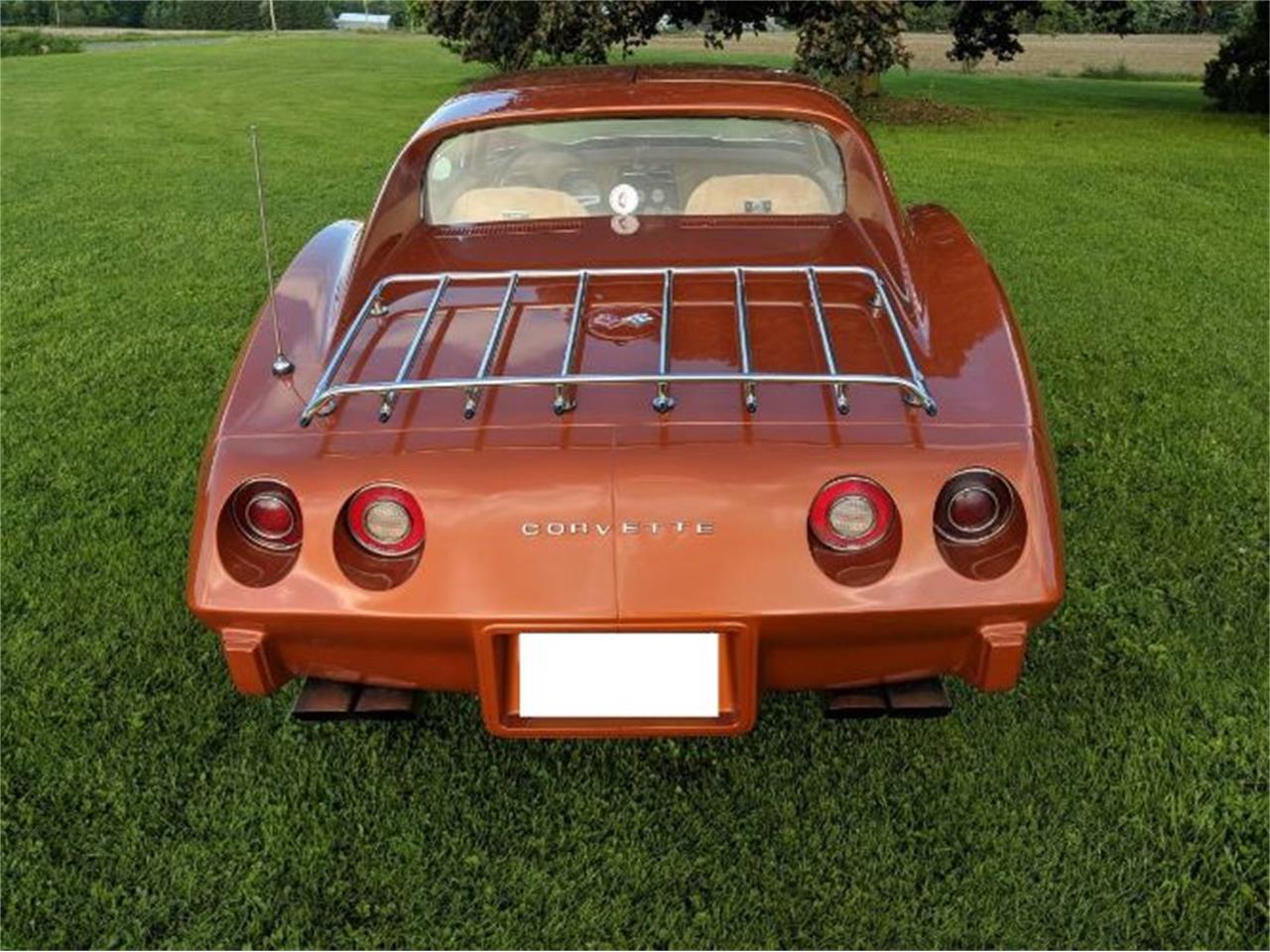 1974 Chevrolet Corvette for sale in Cadillac, MI – photo 7
