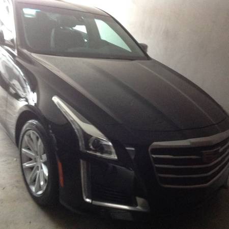 2015 Cadillac CTS for sale in DUNEDIN, FL