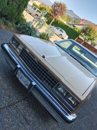 1987 EL CAMINO Survivor for sale in Other, Other – photo 20