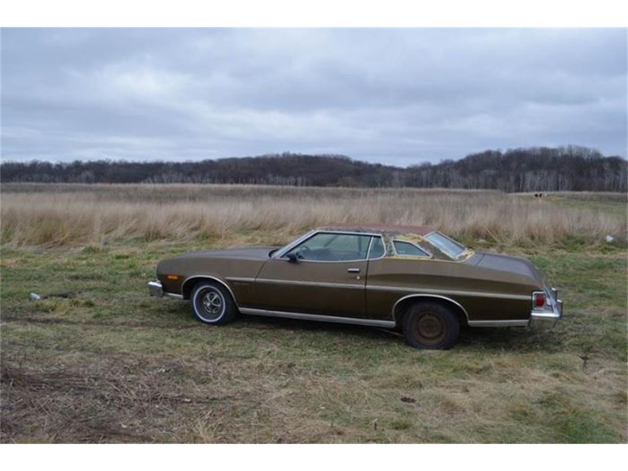 1974 Ford Torino for sale in Cadillac, MI