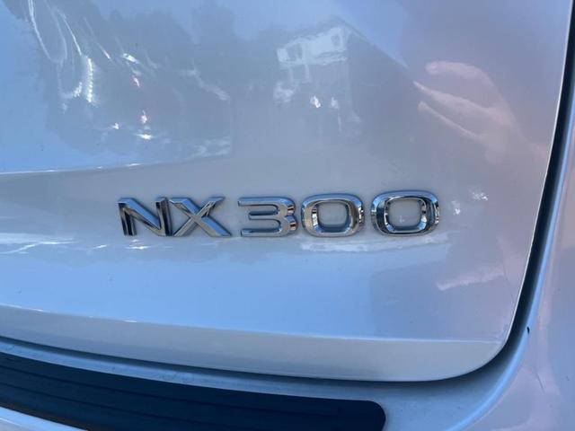2020 Lexus NX 300 Base for sale in Other, NJ – photo 11