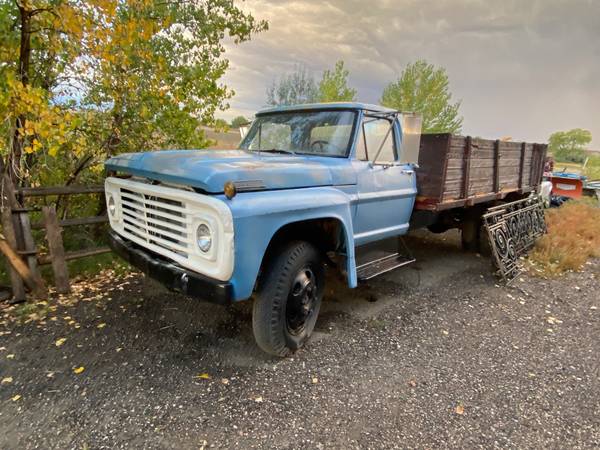 1967 Ford F600 grain truck for sale in Hygiene, CO