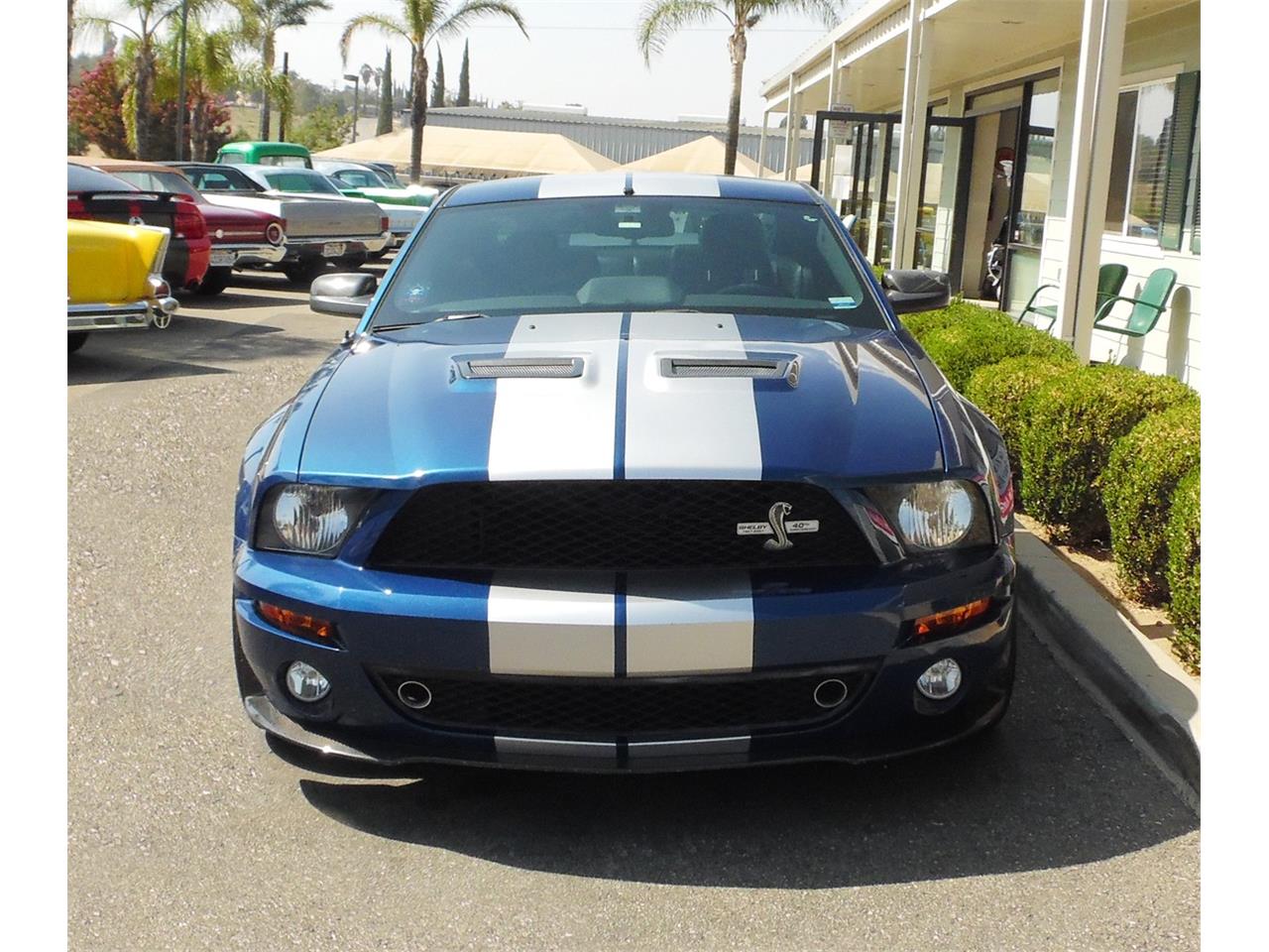 2007 Shelby GT500 for sale in Redlands, CA