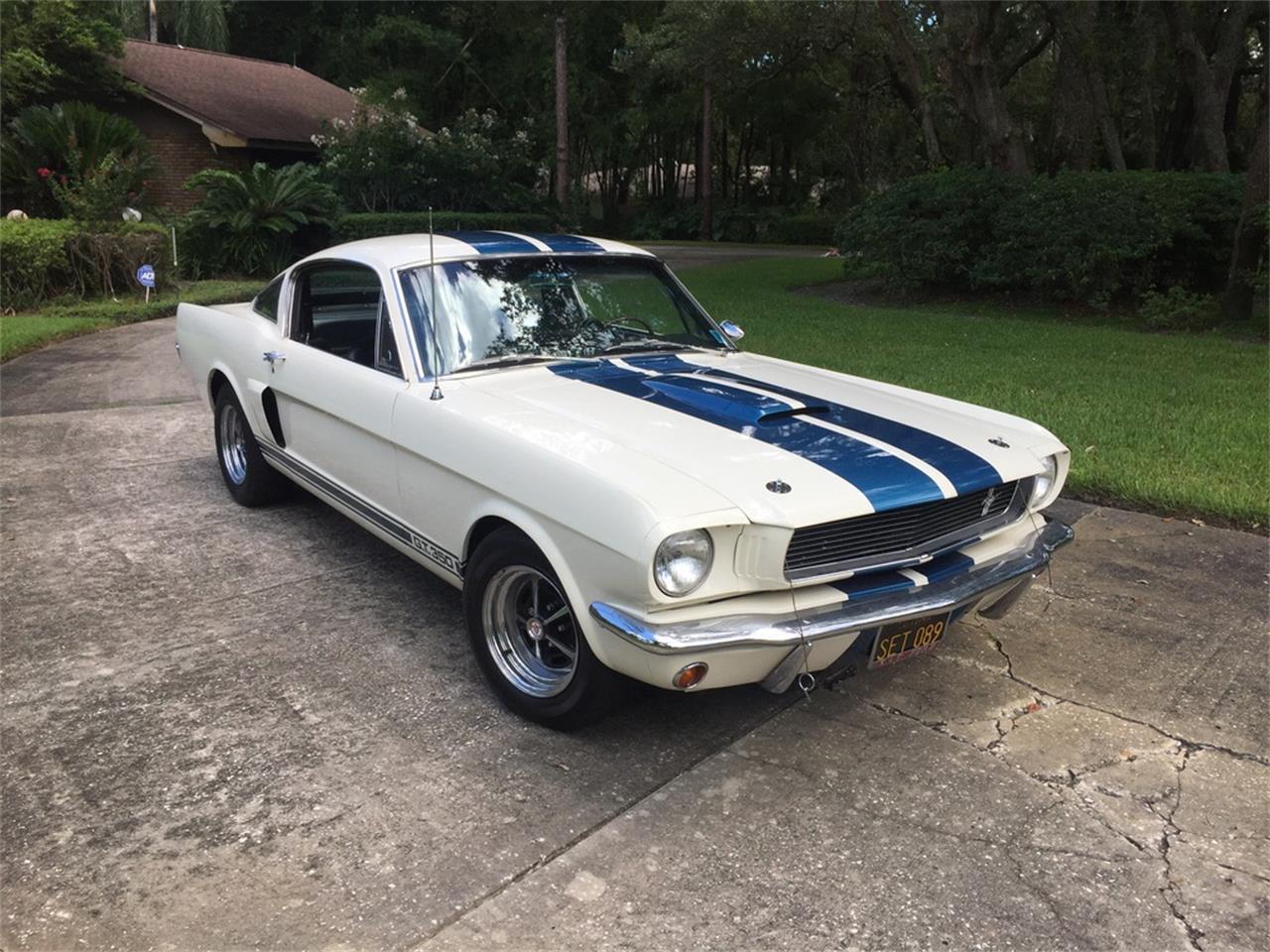 1966 Shelby GT350 for sale in Sugar Hill, GA