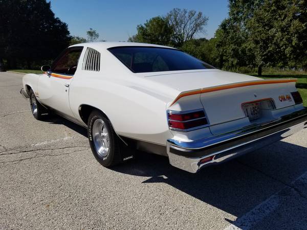 1977 Pontiac Can Am Lemans for sale in McHenry, IL – photo 3