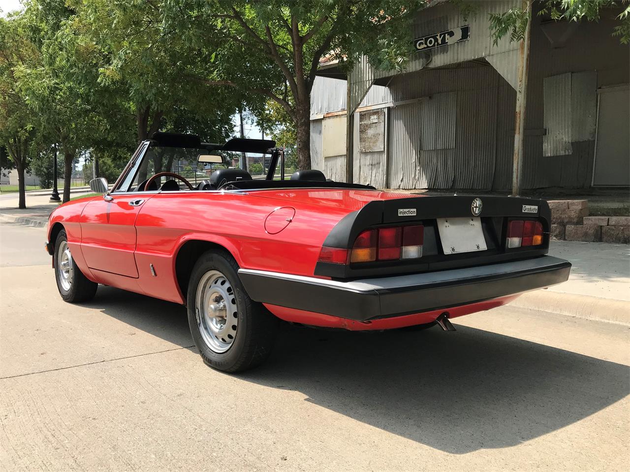 1985 Alfa Romeo Spider for sale in Rowlett, TX – photo 8