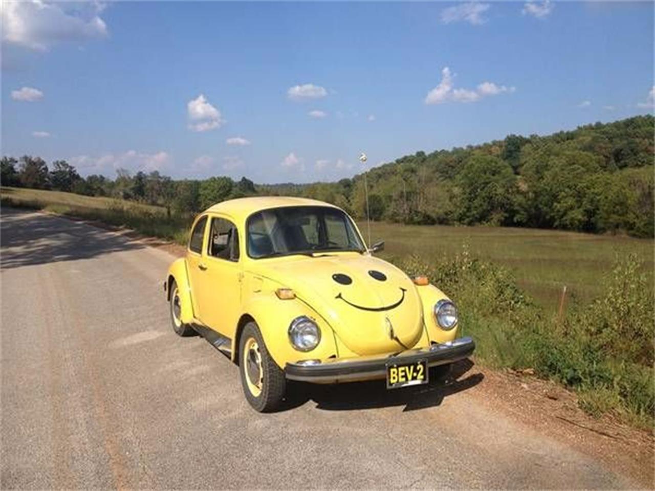 1974 Volkswagen Super Beetle for sale in Cadillac, MI – photo 4