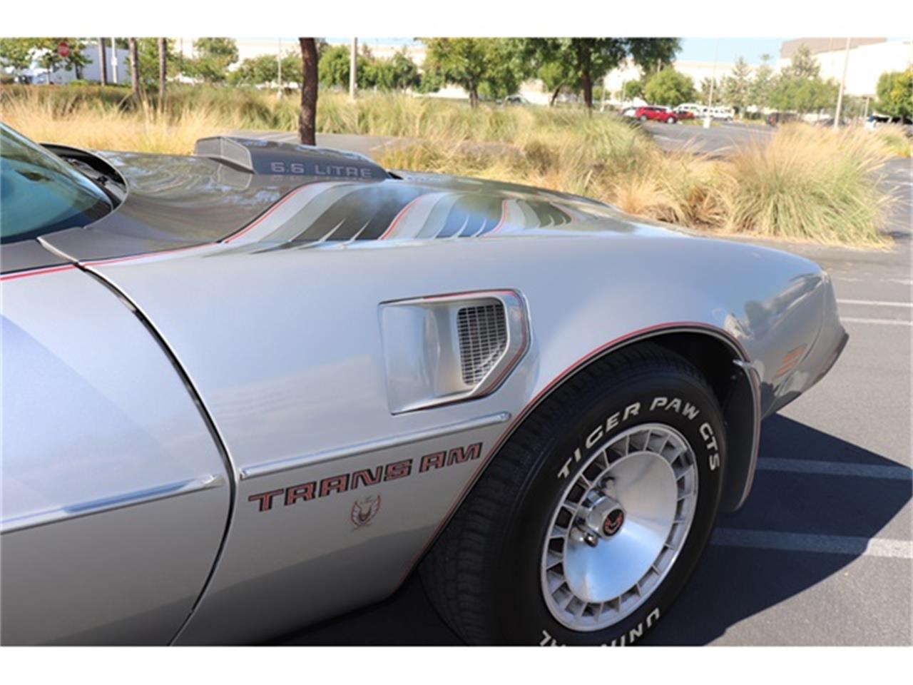 1979 Pontiac Firebird Trans Am for sale in Anaheim, CA – photo 13